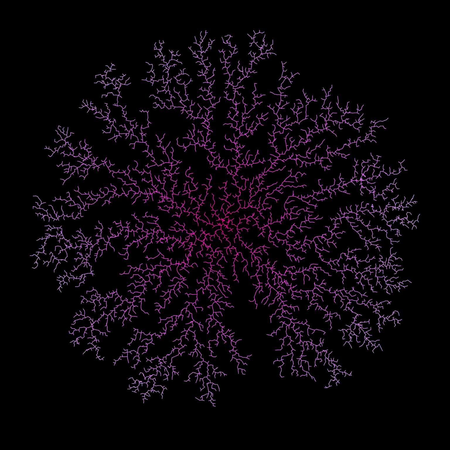 Tree from Diffusion Limited Aggregation, Processing, Sep-7-2016 