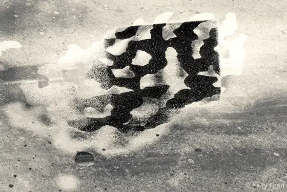 Black and white image of a dark rectangular form sitting slightly tilted in the upper center, it is mottled with white shapes remincent of a Holstein's spots