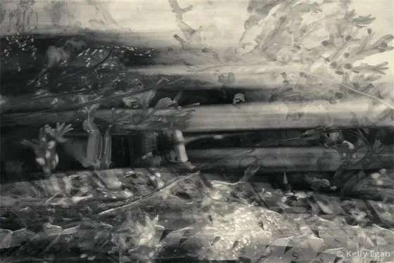 A dark area to the right gives way to alternating dark and light stripes near the center, seaweed can be seen through out the image, near the bottom a repeating image of a woman streches across the image