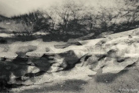 Near the top is the silhouette of what appears to be trees some of the possibly bare, at the center what looks like suds and angular shapes